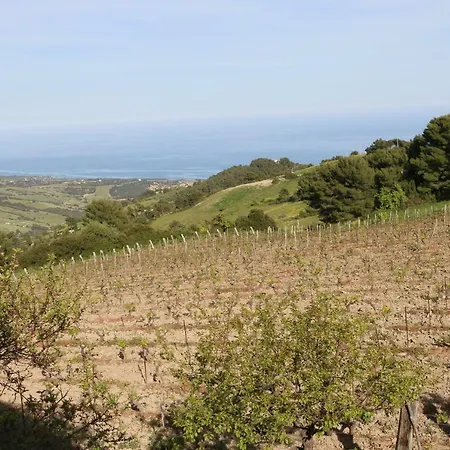 Il Vigneto Bed & Breakfast